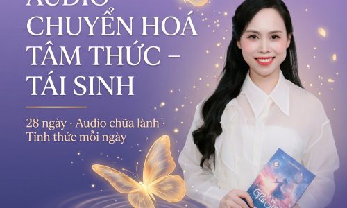 hình thu nhỏ khóa học